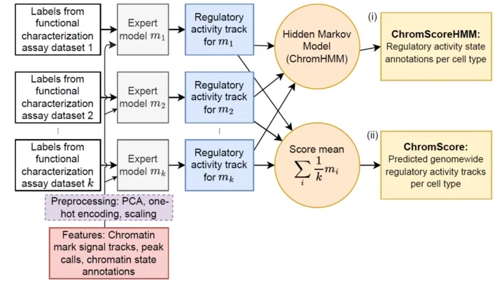 ChromActivity flow chart