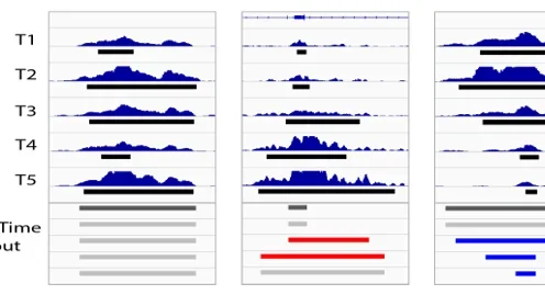Illustration of ChromTime output.