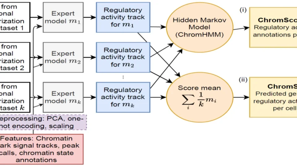 ChromActivity flow chart