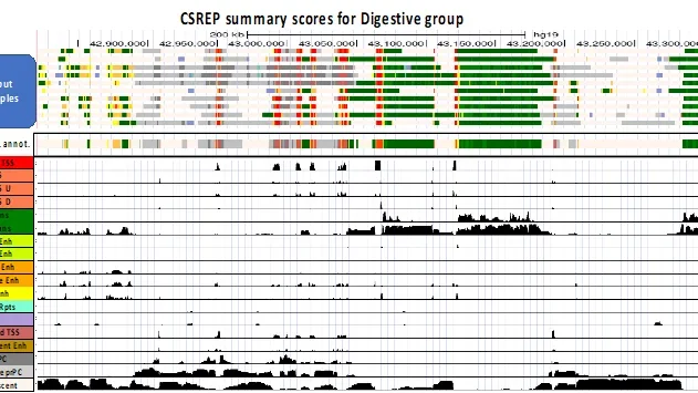 Illustration of CSREP output.