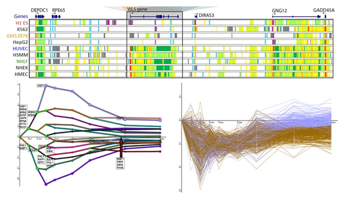 A decorative collage of outputs from various computational methods.