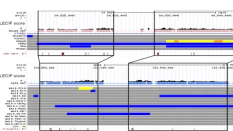 Illustrating of LECIF output.