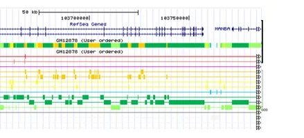 Example of ChromHMM output.