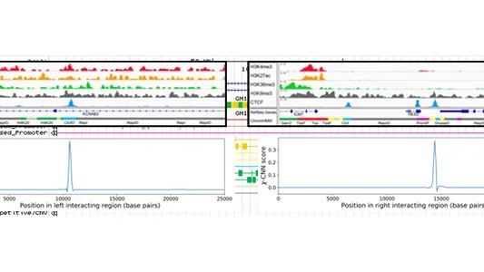 Illustration of X-CNN output.