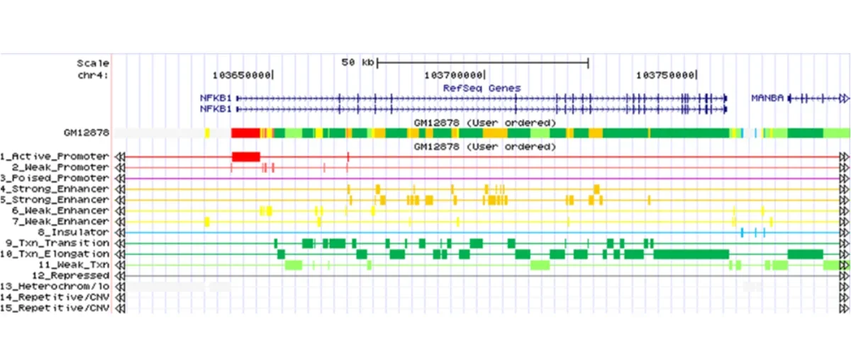 Example of ChromHMM output