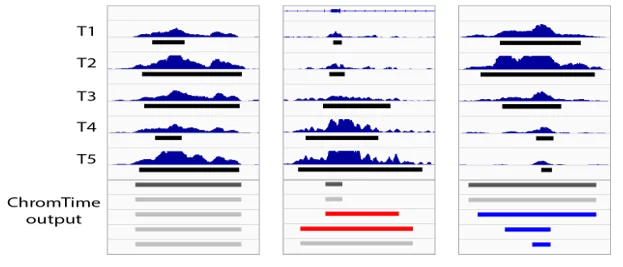Illustration of ChromTime output.