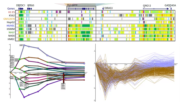 A decorative collage of outputs from various computational methods.