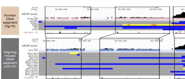 Illustrating of LECIF output.